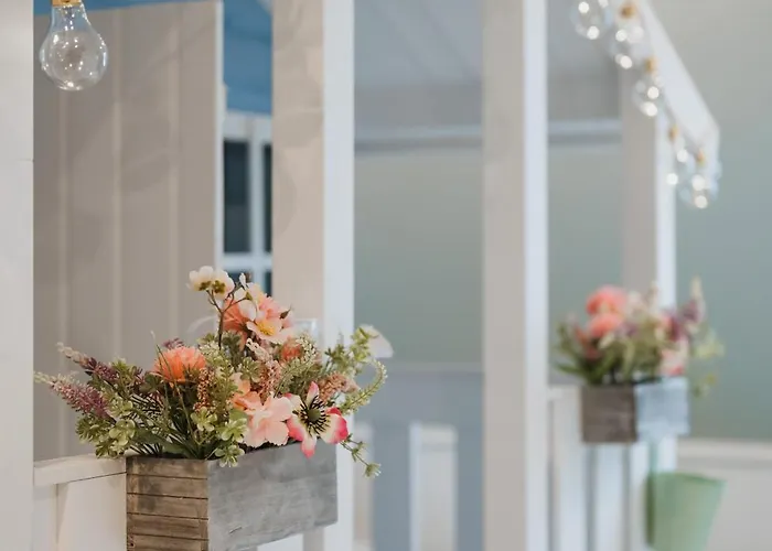 Wiigi Family & Prázdninový dům